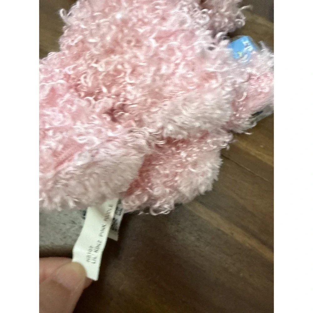 Webkinz Ganz Pink Poodle Dogs And Mini Plush HS107 New With Unused Codes Carrier